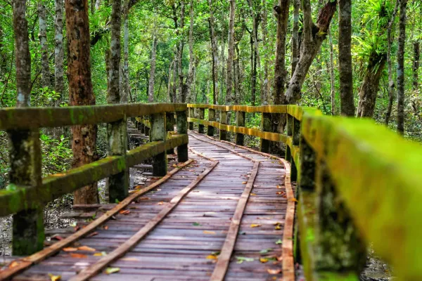 Explore in Bangladesh