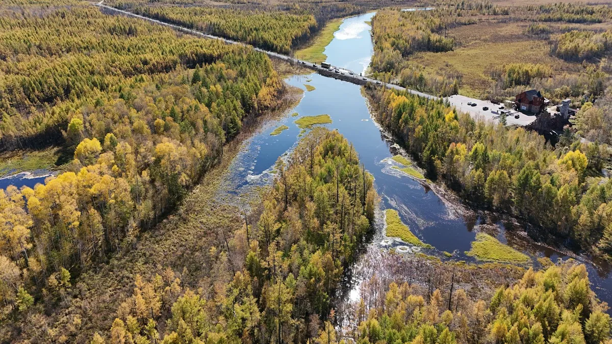 A breathtaking aerial view of a winding river cutting through an autumn forest, captured in Mongolia.