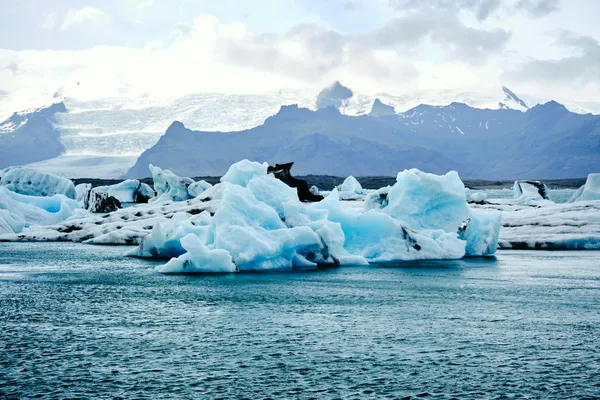 Explore in Iceland