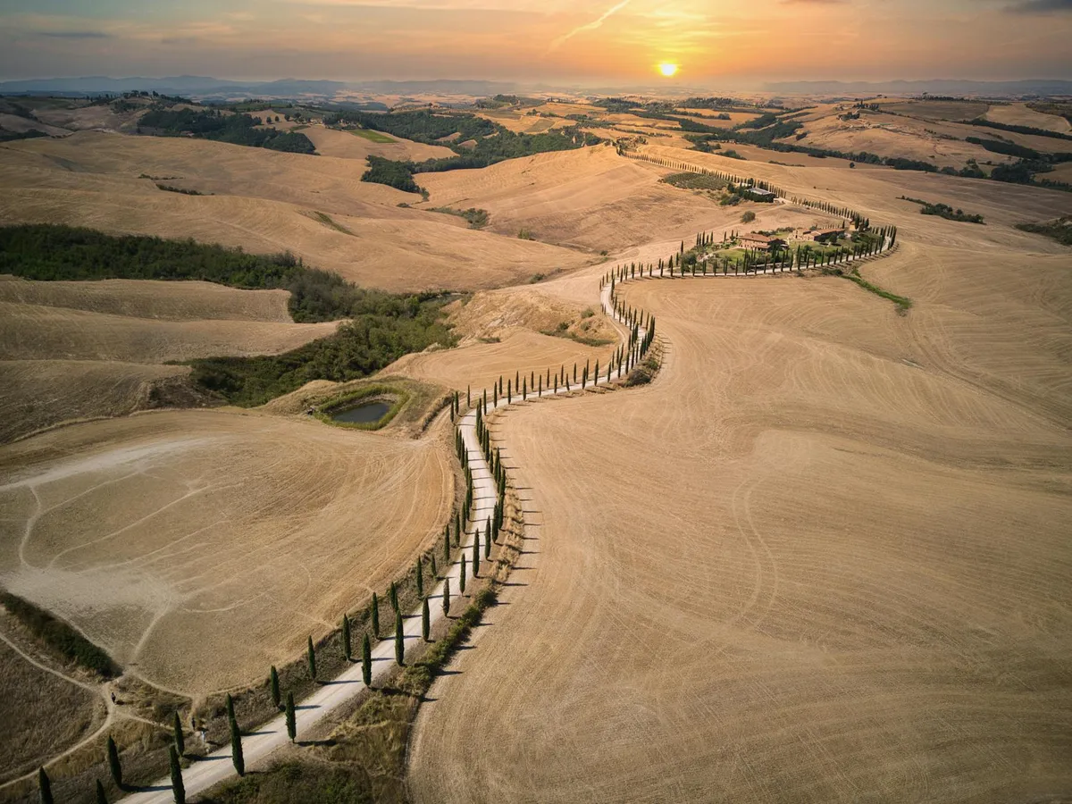 A stunning aerial view of a winding road lined with cypress trees in the Tuscan hills at sunset.