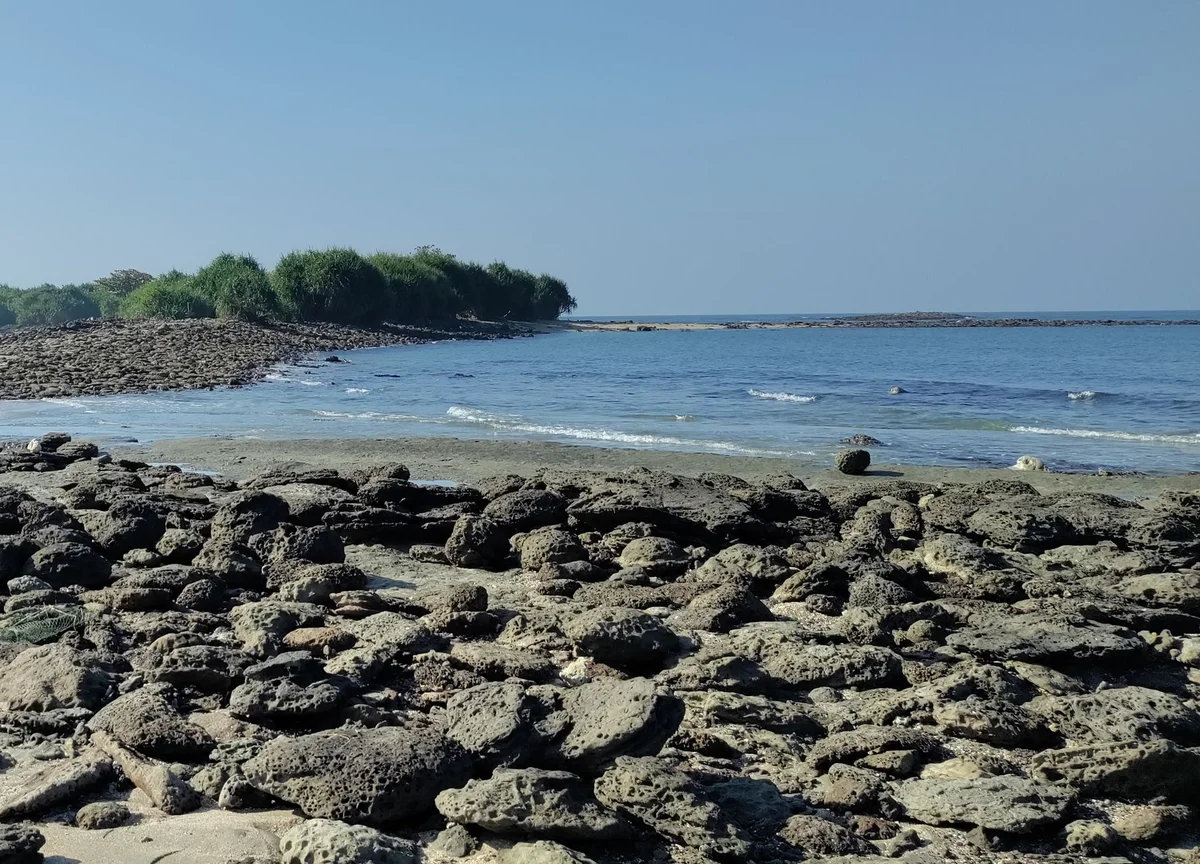 Pechar Dwip Beach view 2