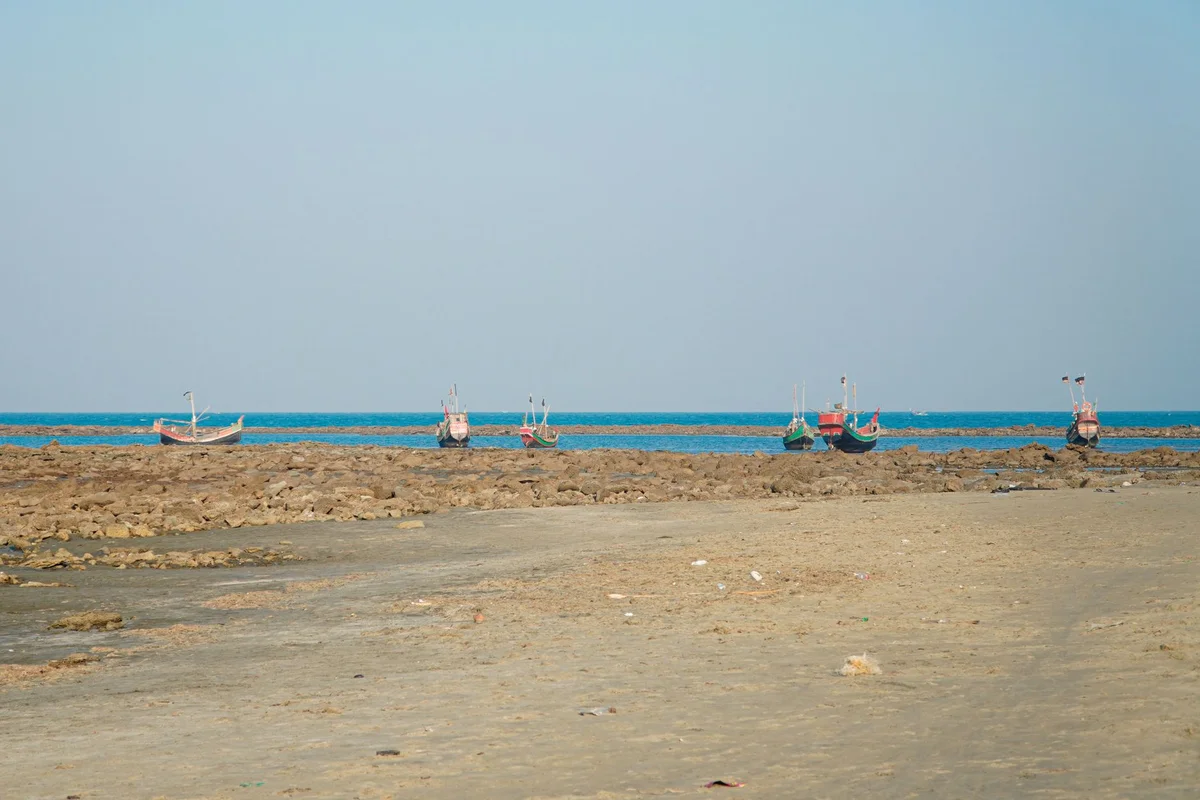 Pechar Dwip Beach feature