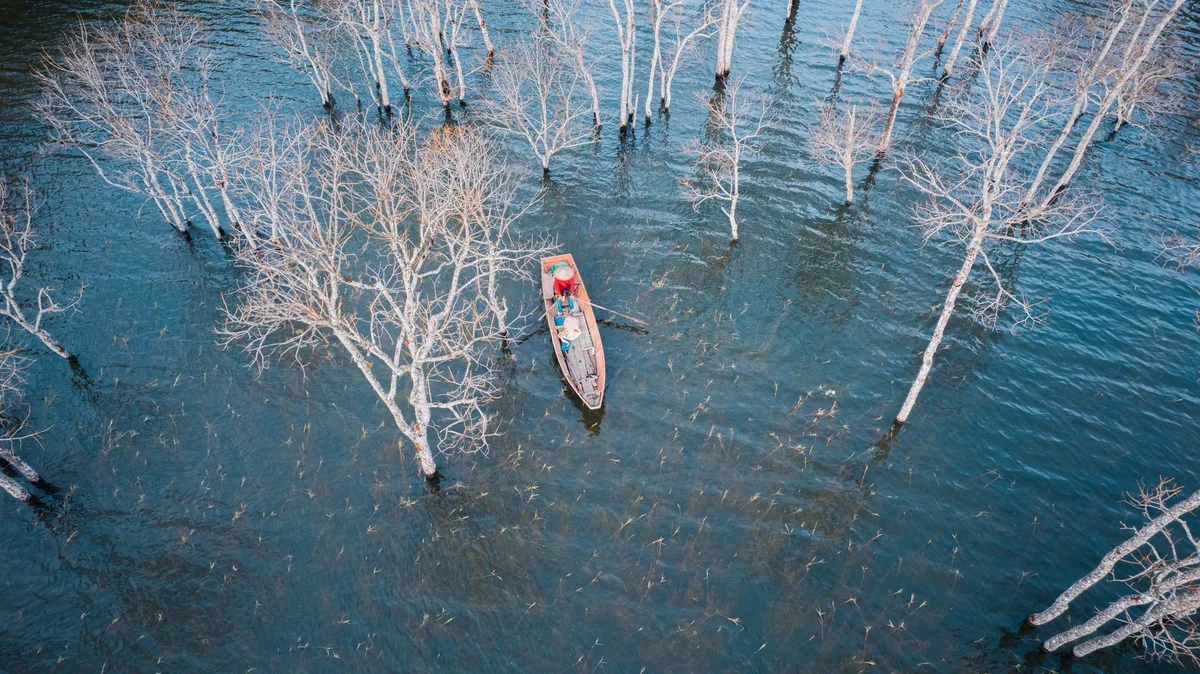 Ratargul Swamp Forest feature