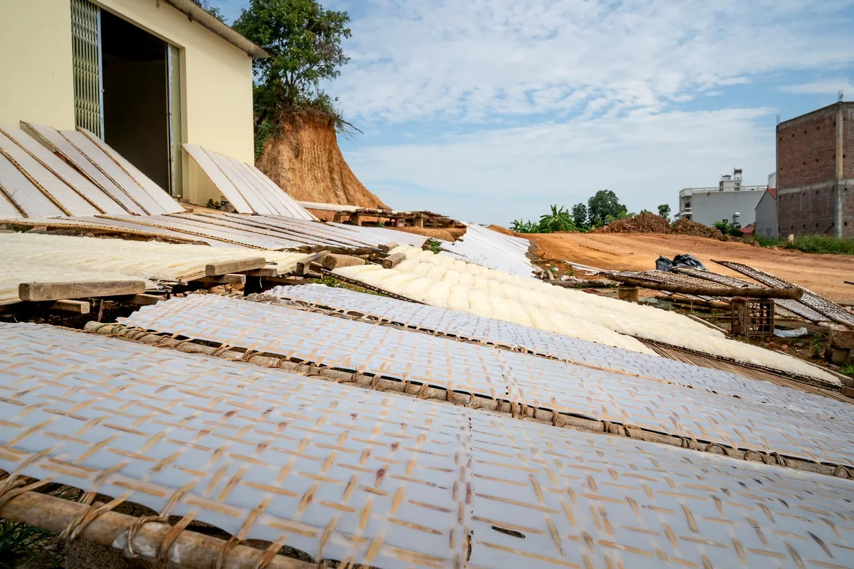 Jungshi Handmade Paper Factory feature