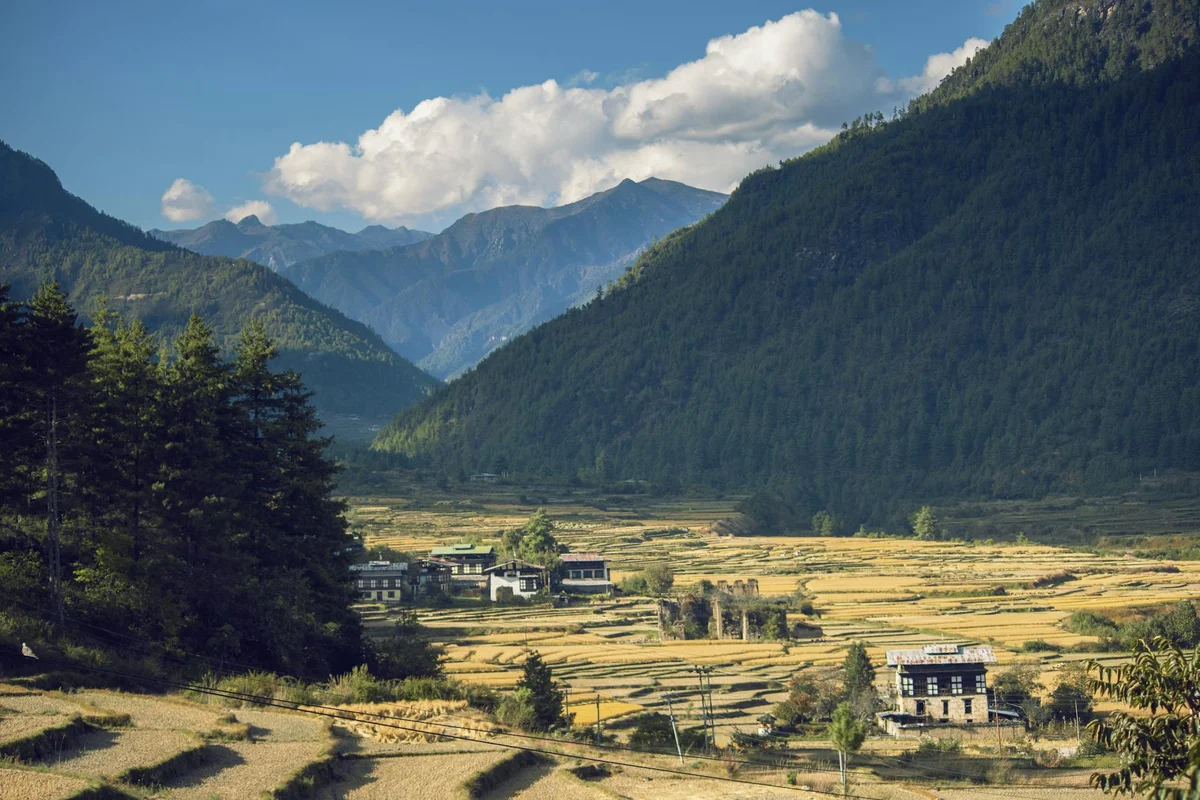 Phobjikha Valley view 1