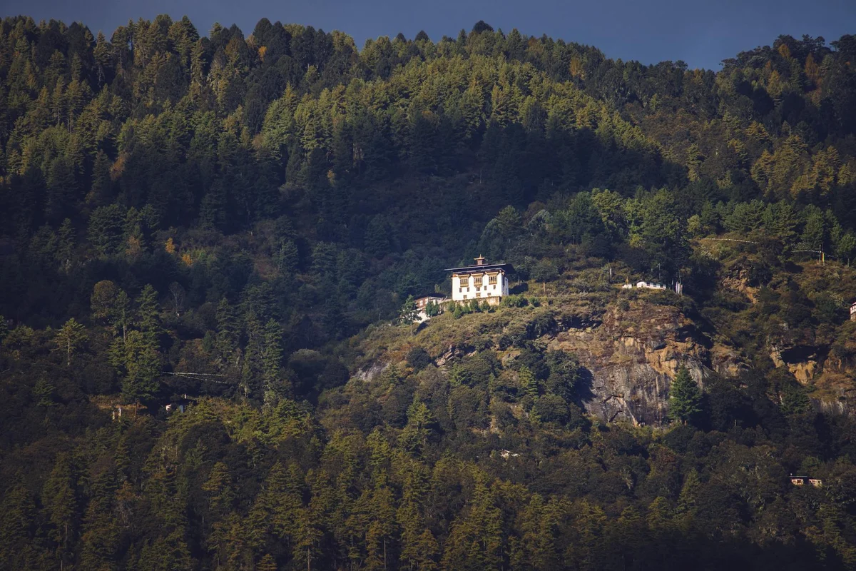 Punakha Dzong view 2