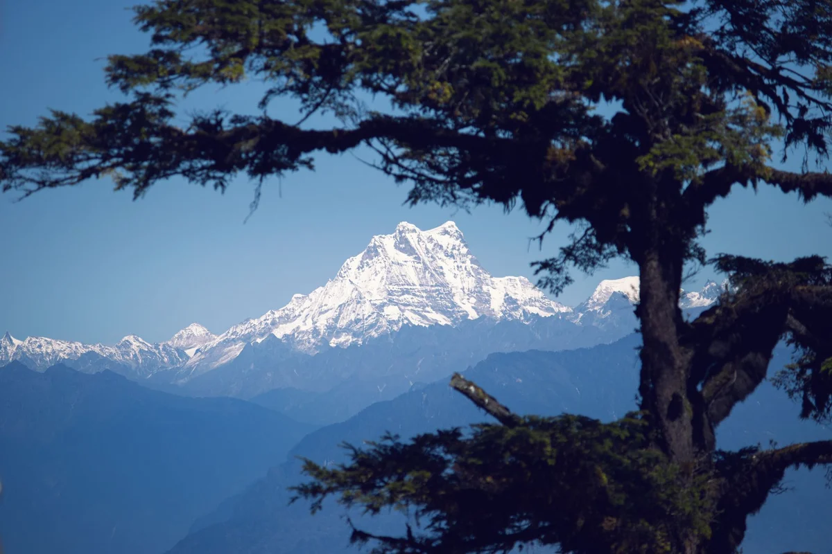 Chimi Lhakhang view 2