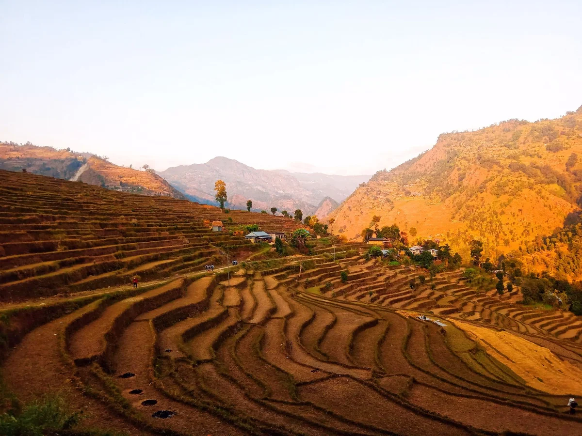 Sopsokha Village view 2