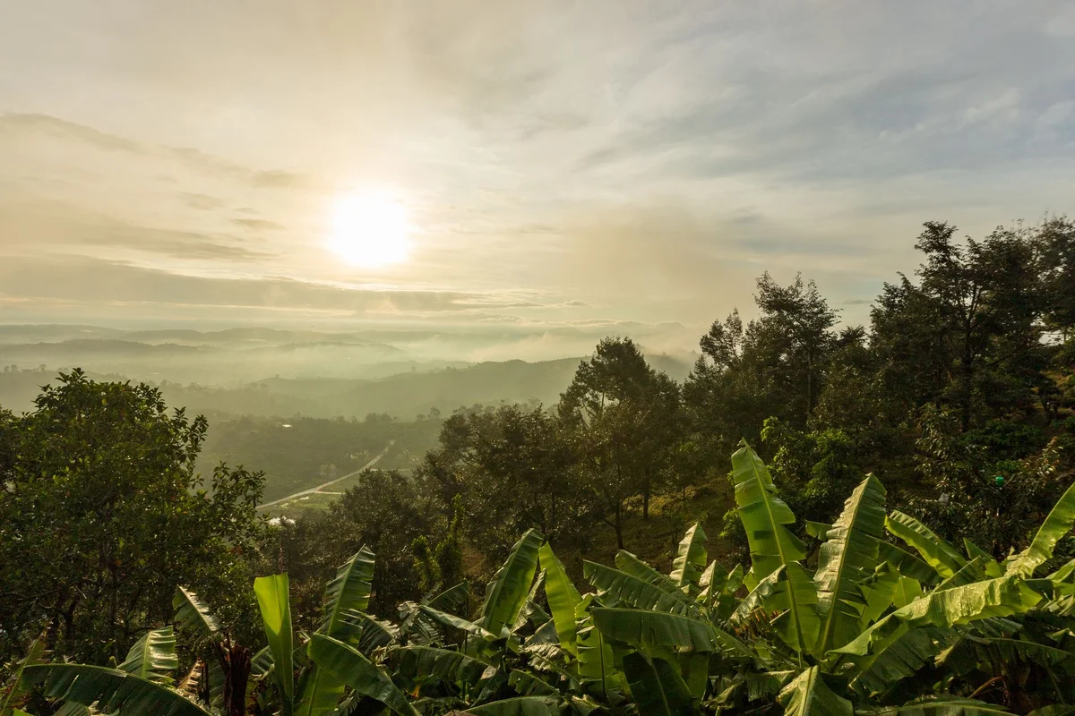 Bukit Shahbandar feature
