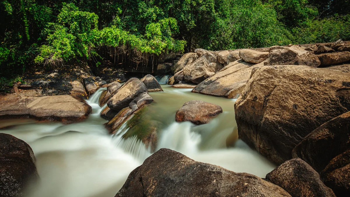 Sungai Temburong Pools feature