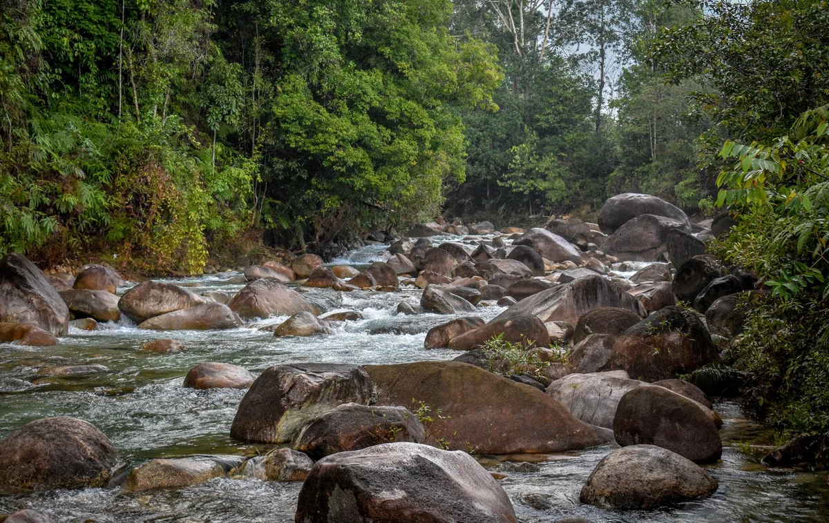 Sungai Temburong Pools view 1