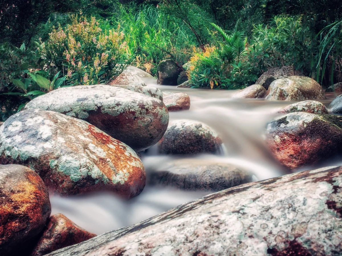 Sungai Temburong Pools view 2