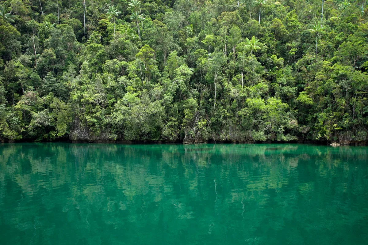 Sungai Temburong view 1