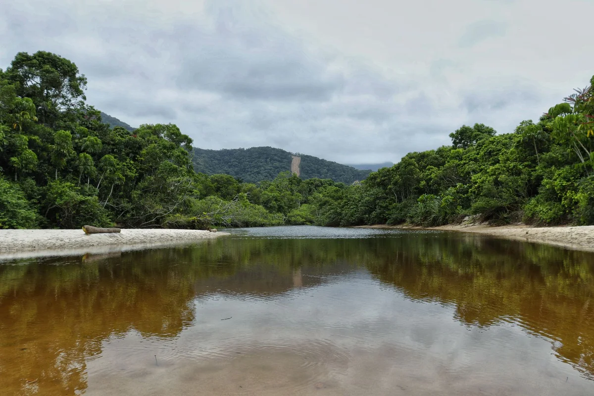 Sungai Temburong feature