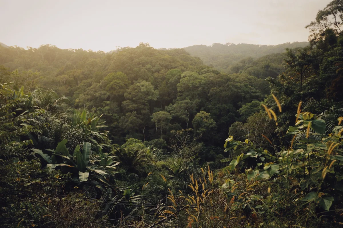 Tasek Merimbun Heritage Park view 1