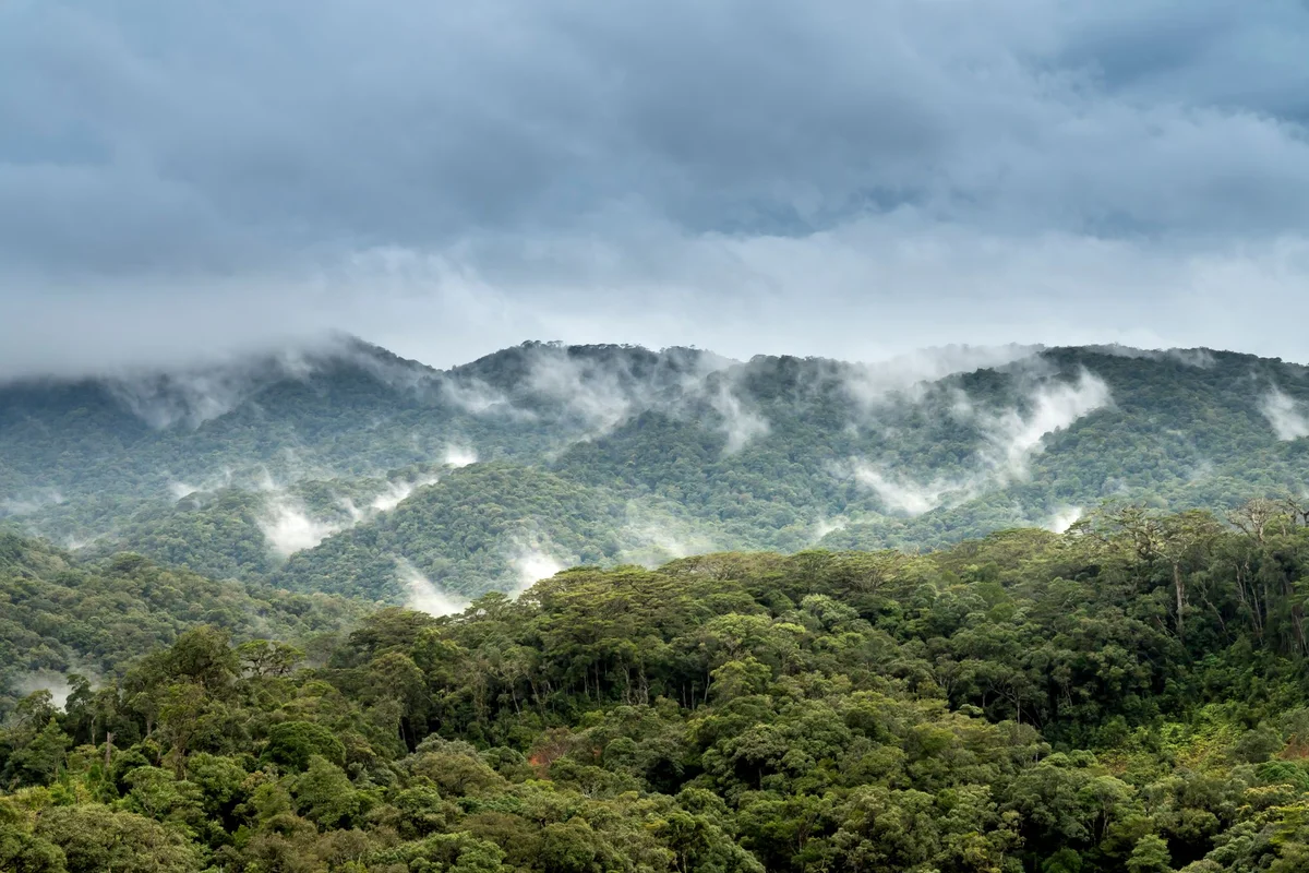 Ulu Temburong National Park view 1
