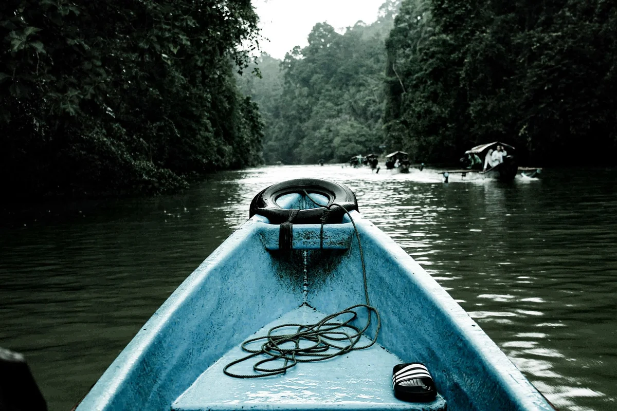 Ulu Temburong National Park view 2