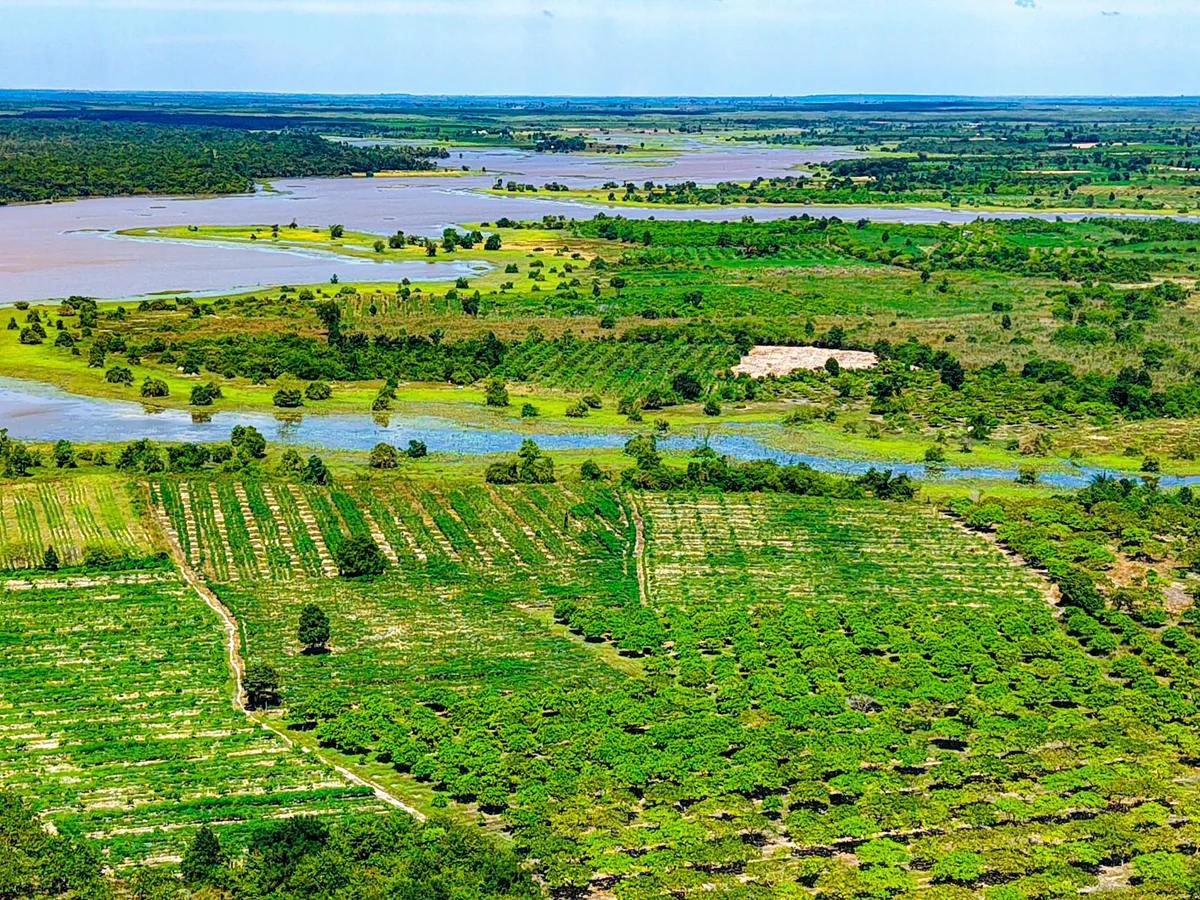 Kampot River feature