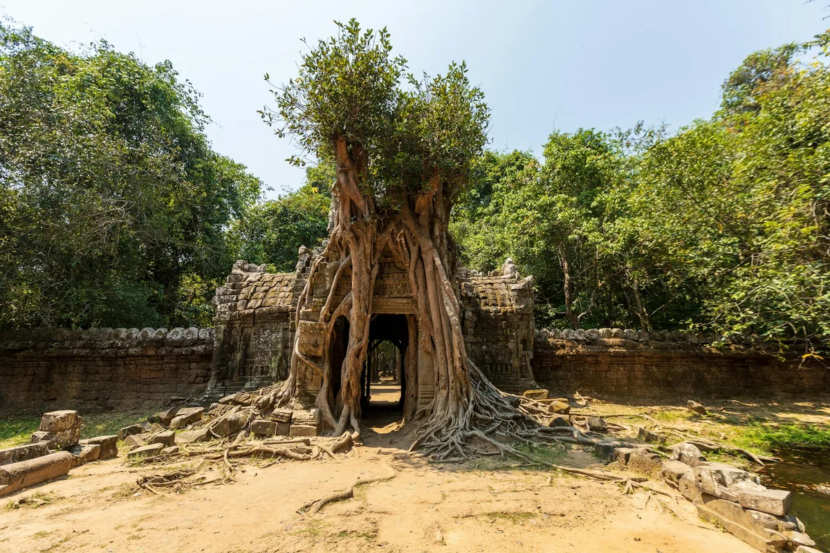 Ta Prohm view 1