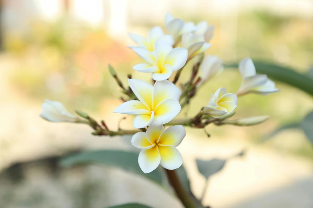 Tuol Sleng Genocide Museum view 2