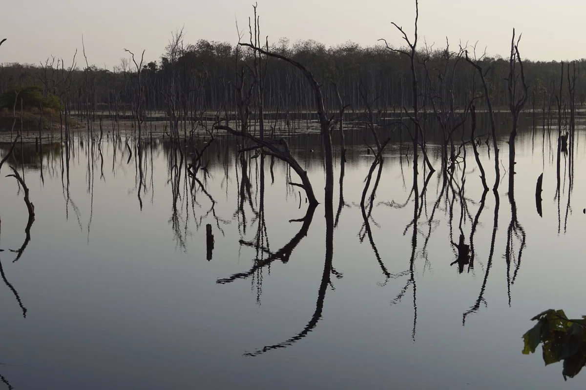 Choeung Ek Killing Fields feature