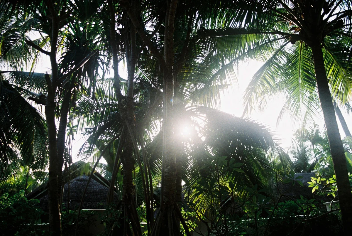 Koh Rong Jungle Trail view 1