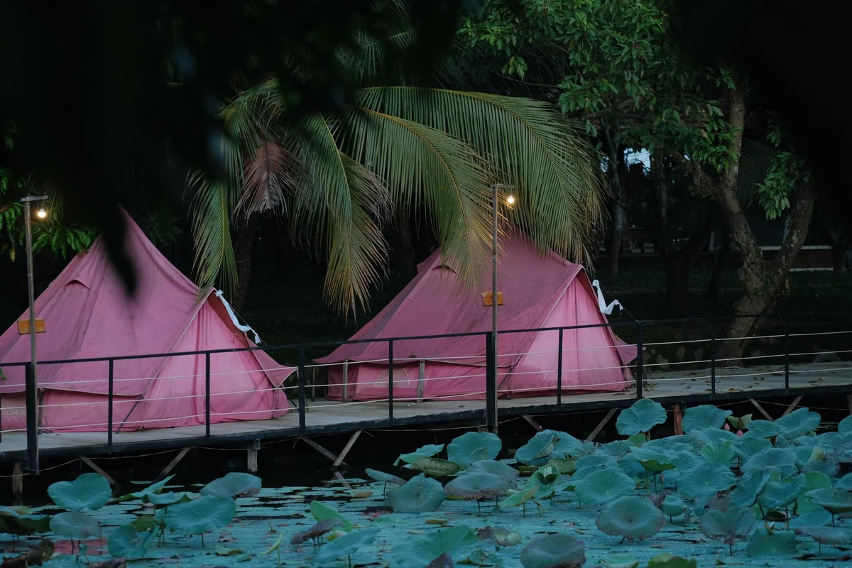 Phare, The Cambodian Circus feature