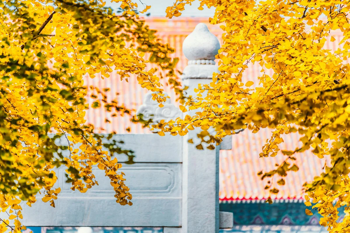 Chengdu Jinsha Site Museum view 1