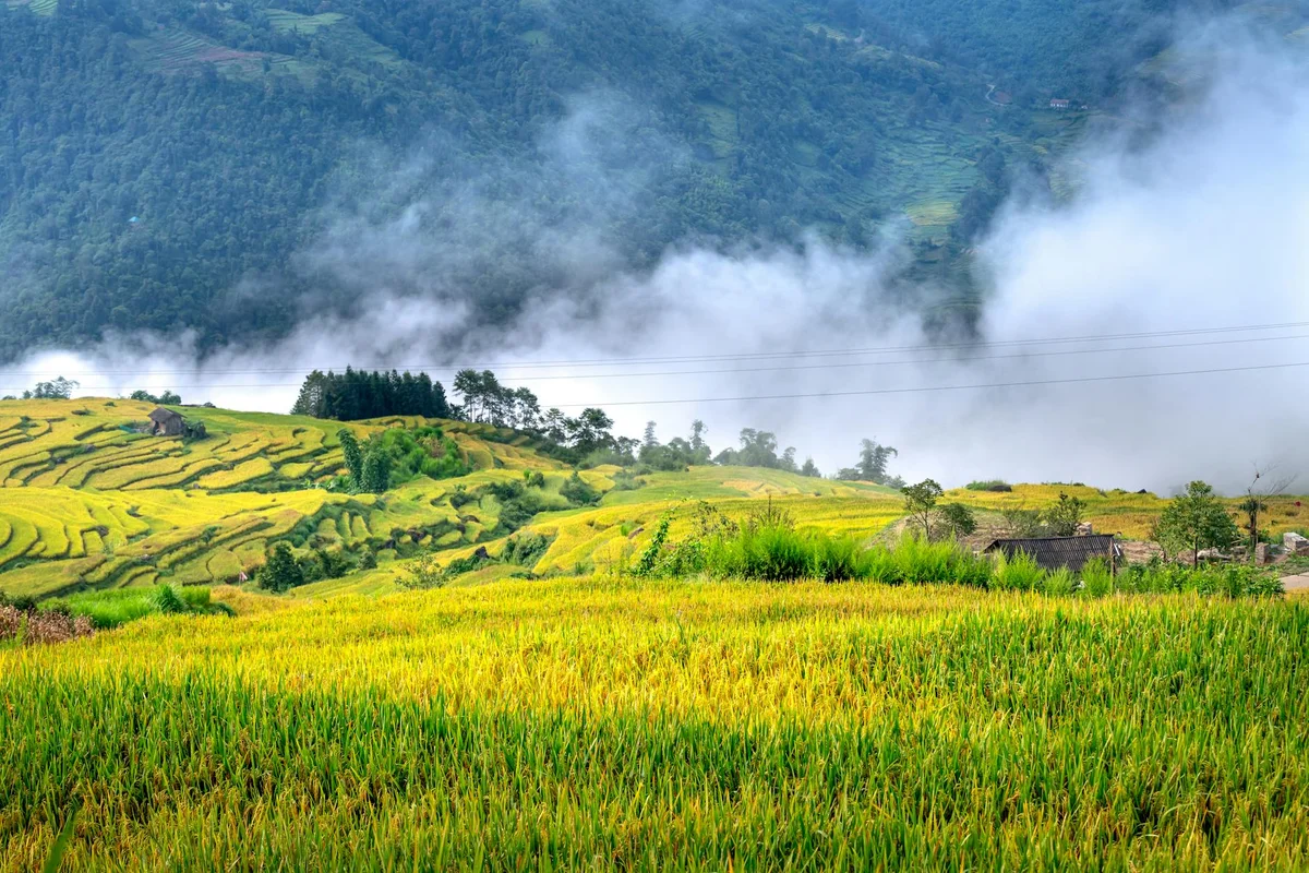 Hilu Village feature