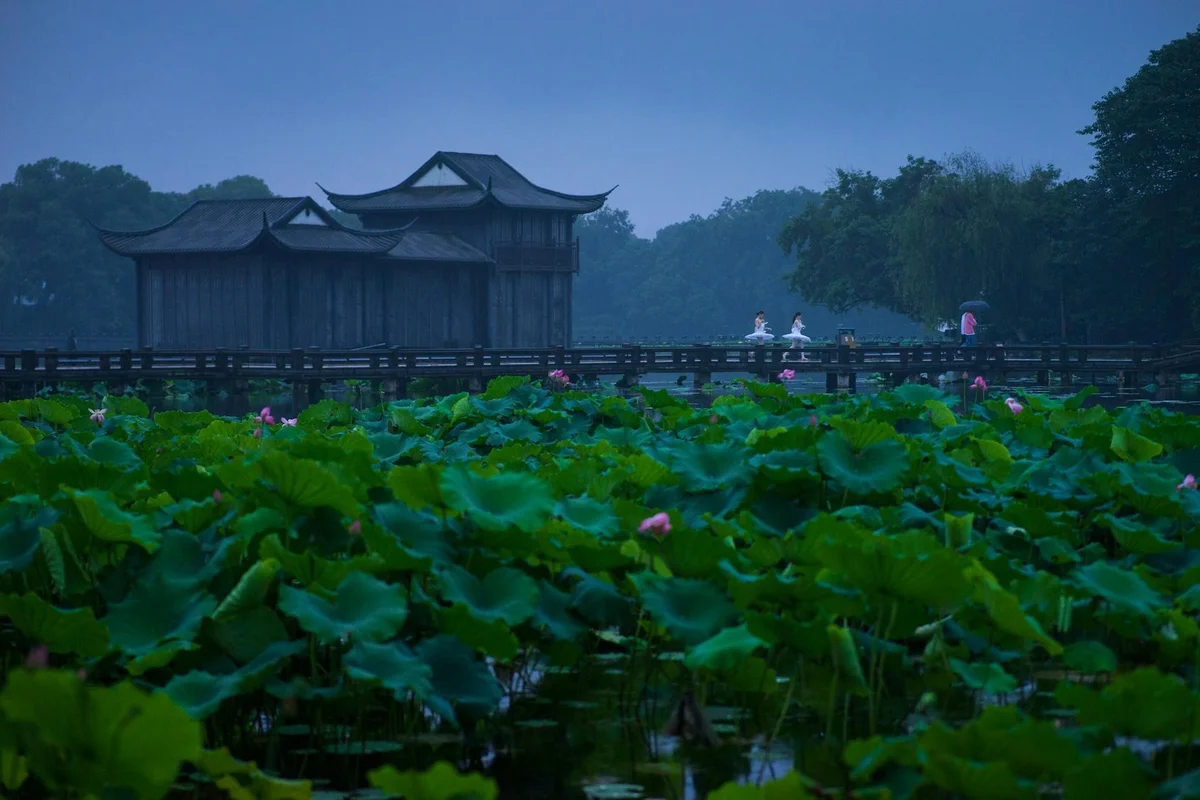 People's Park feature