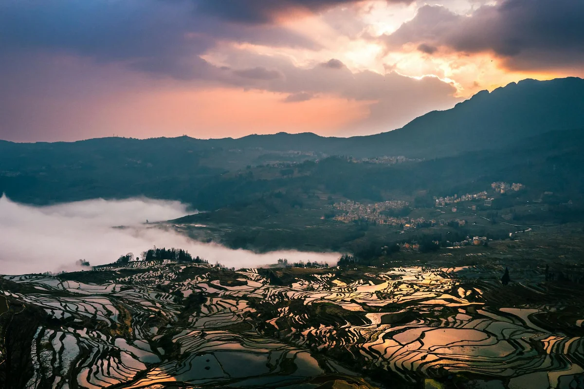 Longji Rice Terraces view 1