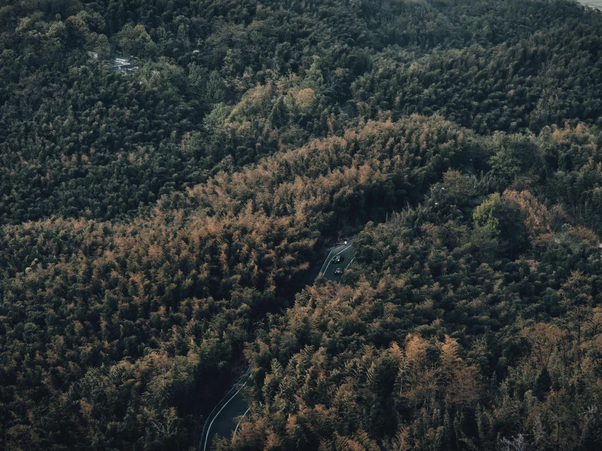 China National Silk Museum view 2