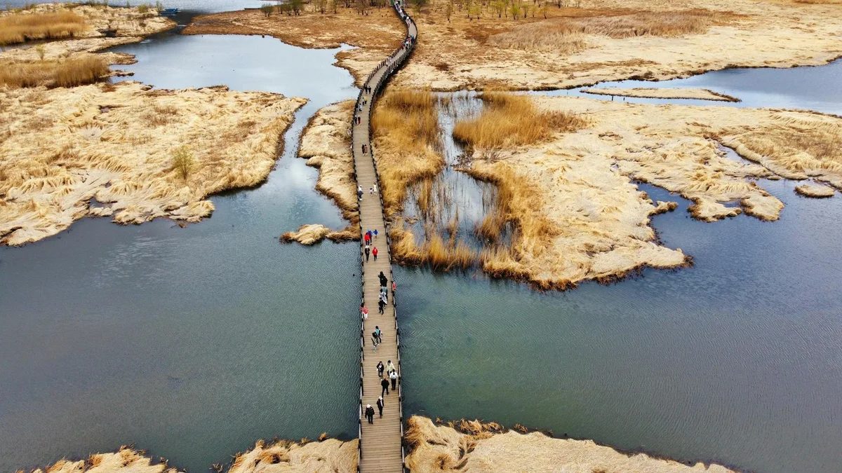 Xixi National Wetland Park view 2