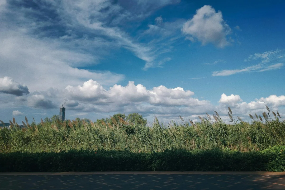 Xixi National Wetland Park view 1