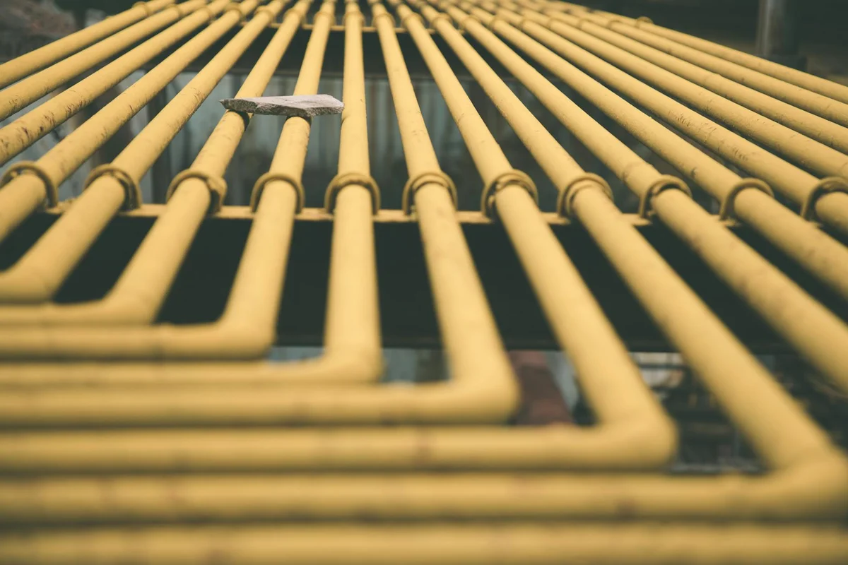 798 Art Zone feature