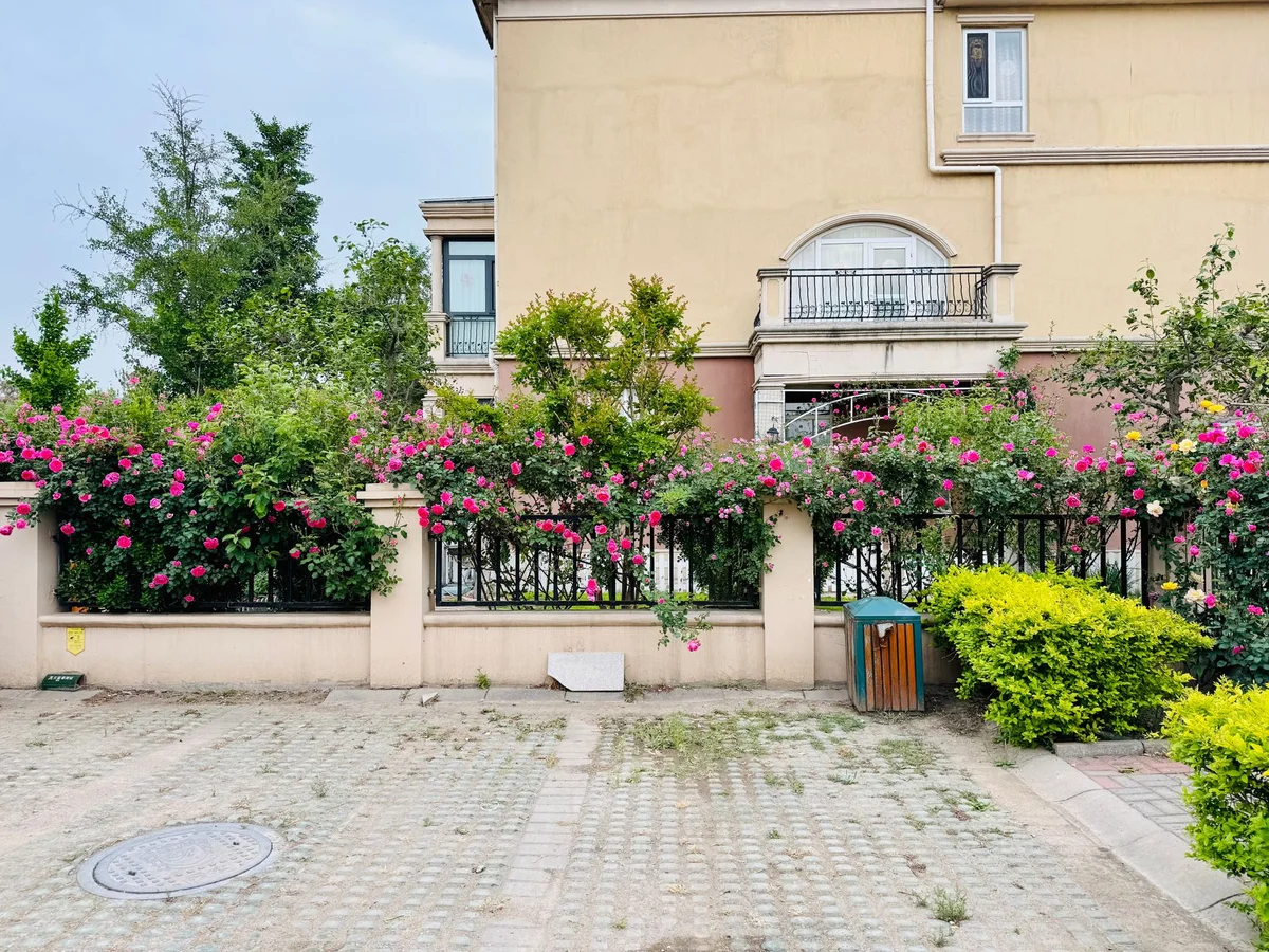 Fuxing Park view 1