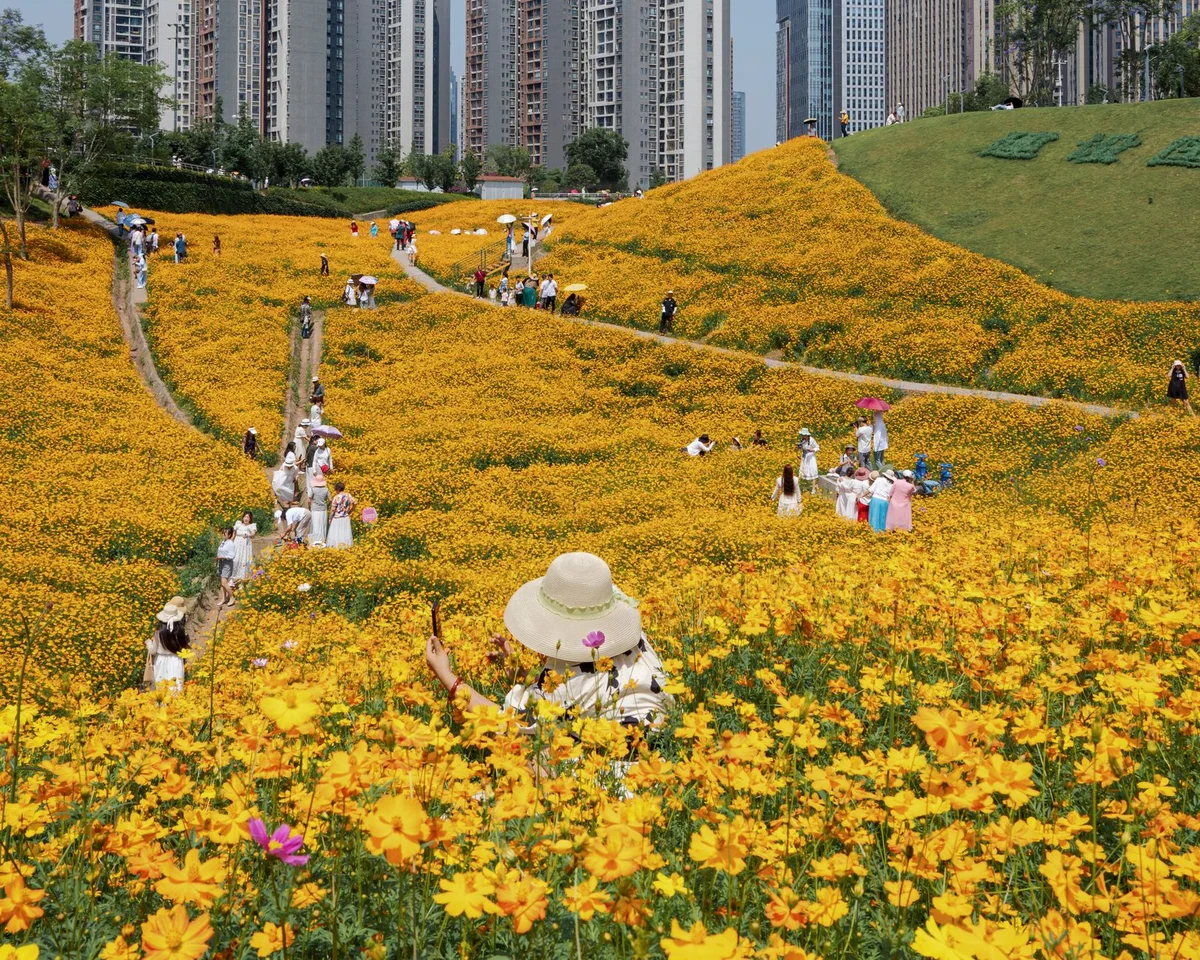 Haizhu Lake Park view 2