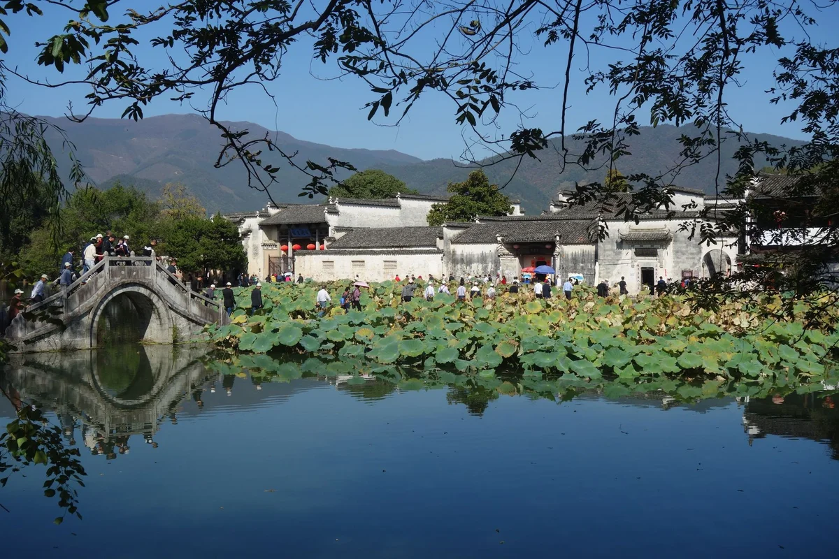 Humble Administrator's Garden feature