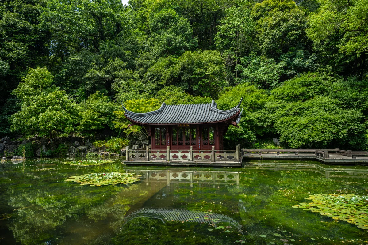 Humble Administrator's Garden view 2