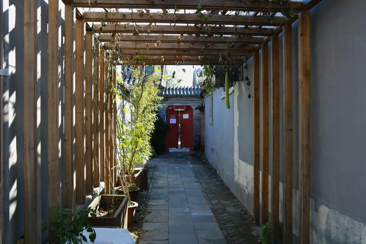 Hutongs Beijing feature