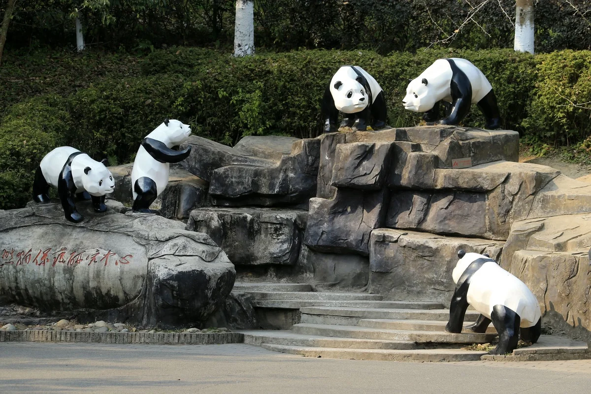 Chengdu IFS feature