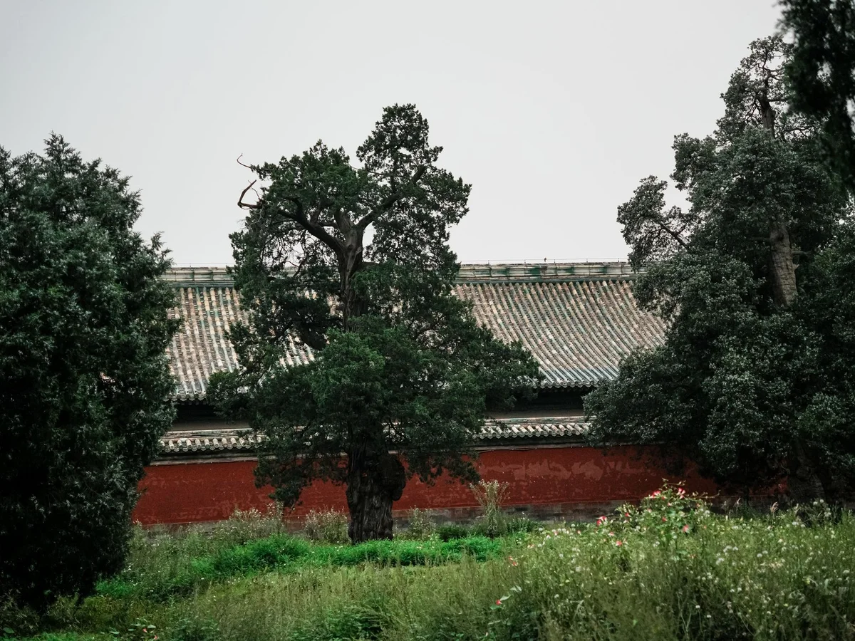Lingyun Temple view 2