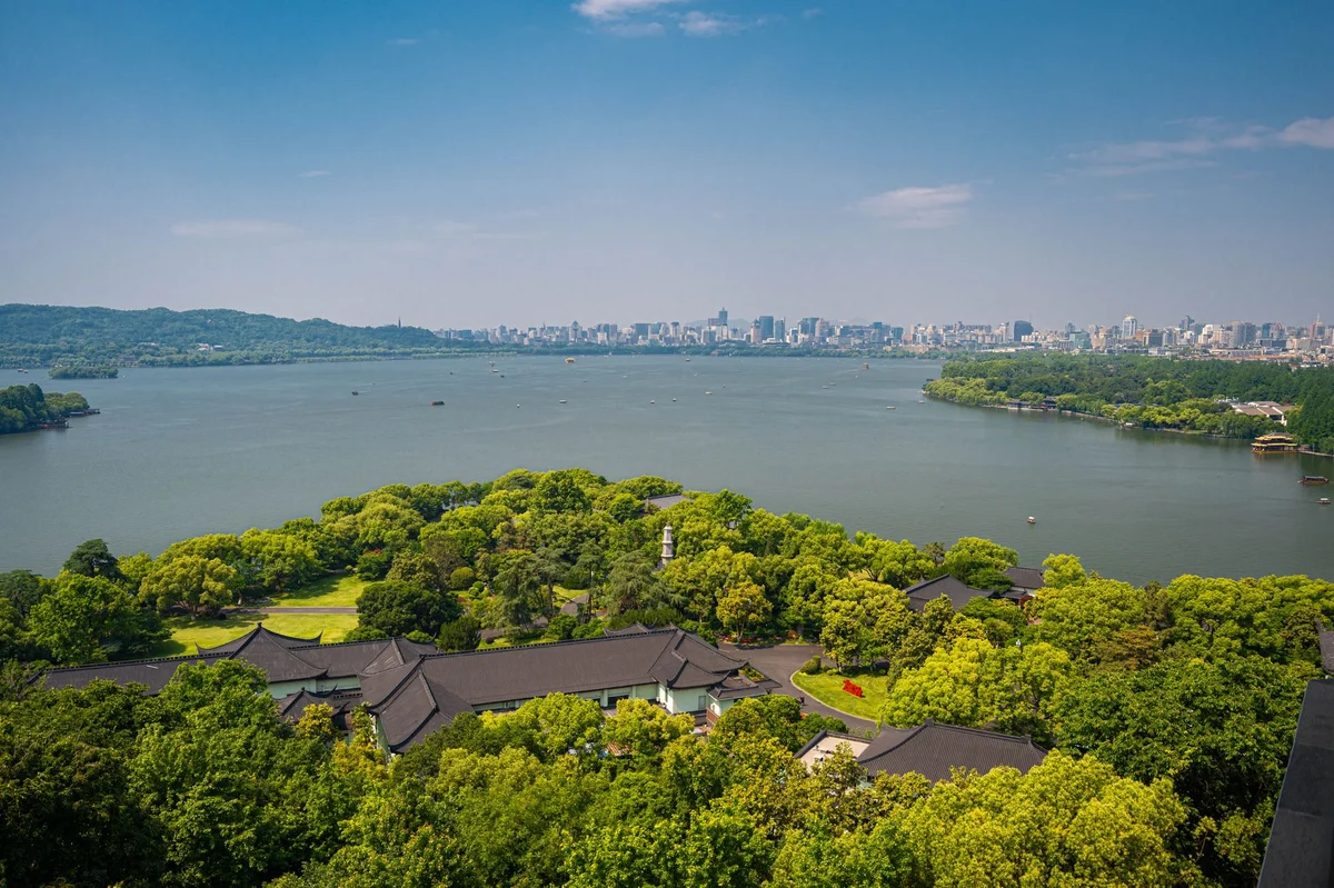 Longjing Tea Fields view 2