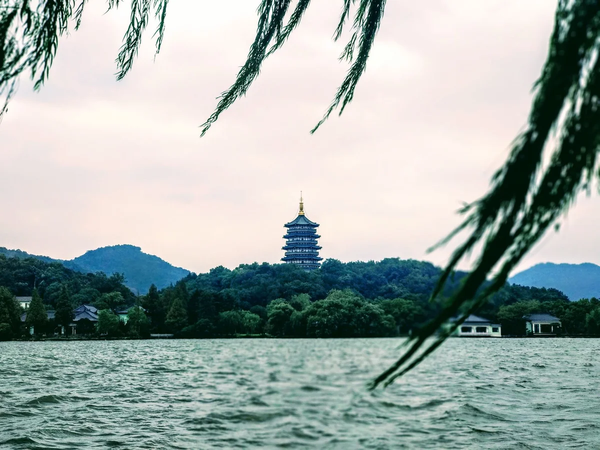 Longjing Tea Fields feature