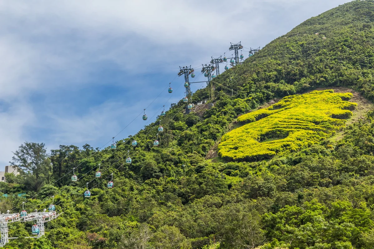 Ngong Ping 360 feature