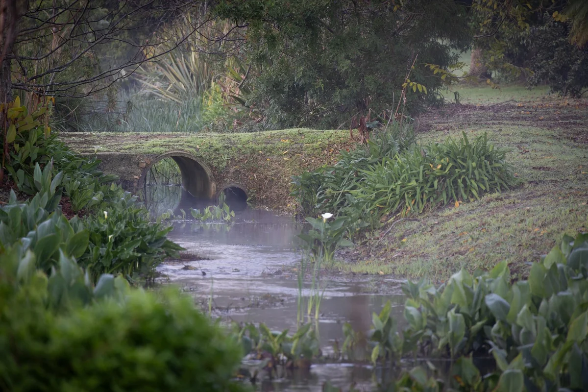 Tea Stream Valley feature