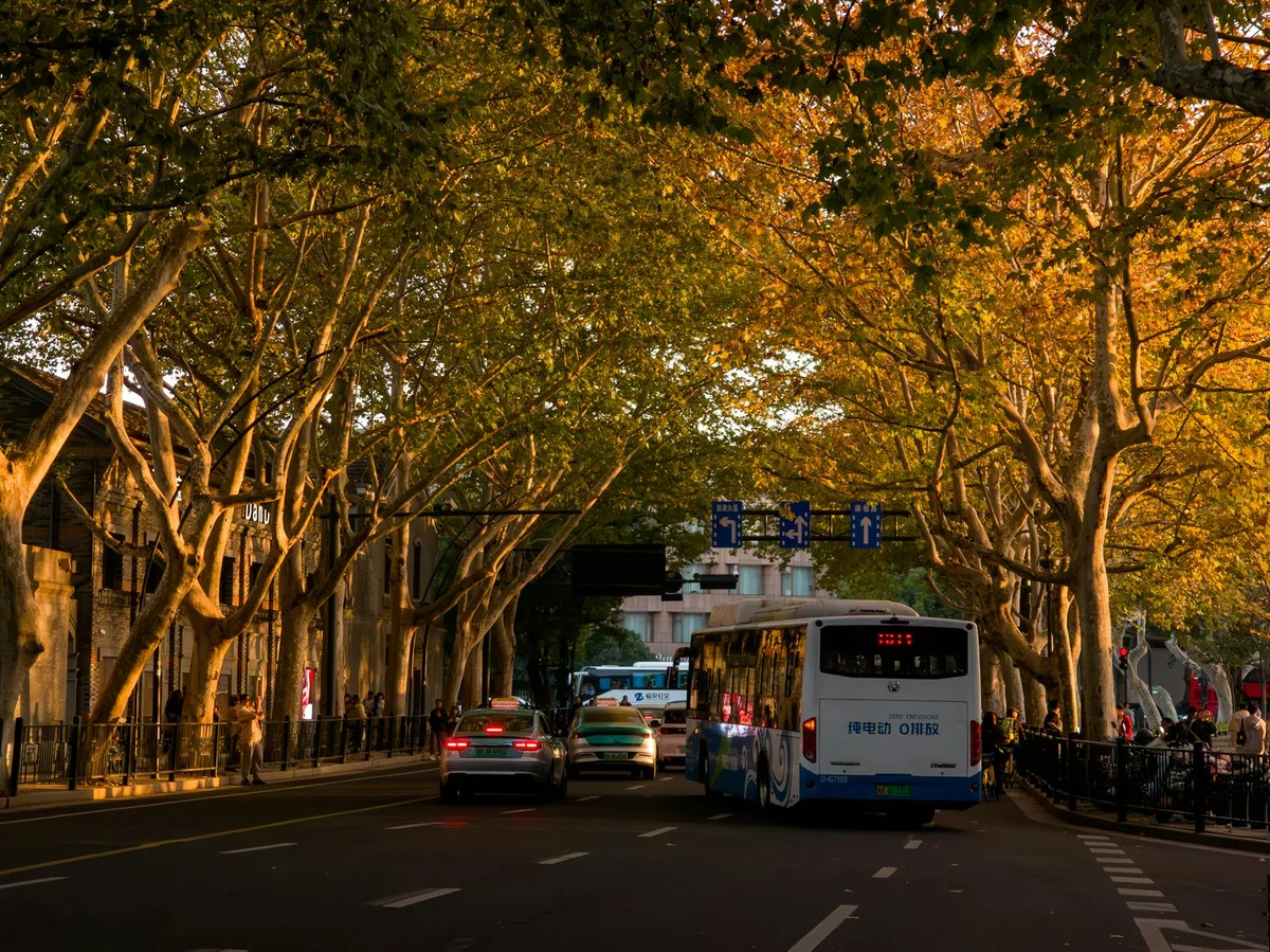 People's Square view 2