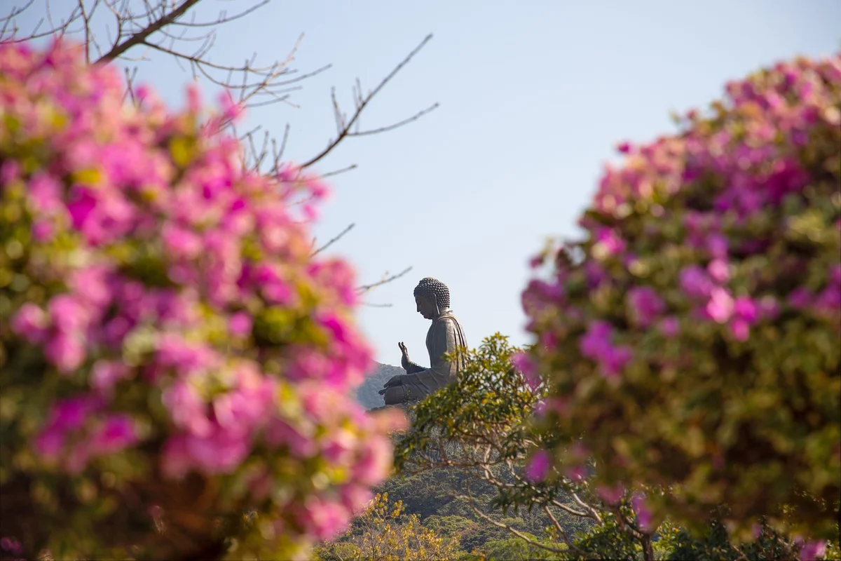 Tian Tan Buddha view 2