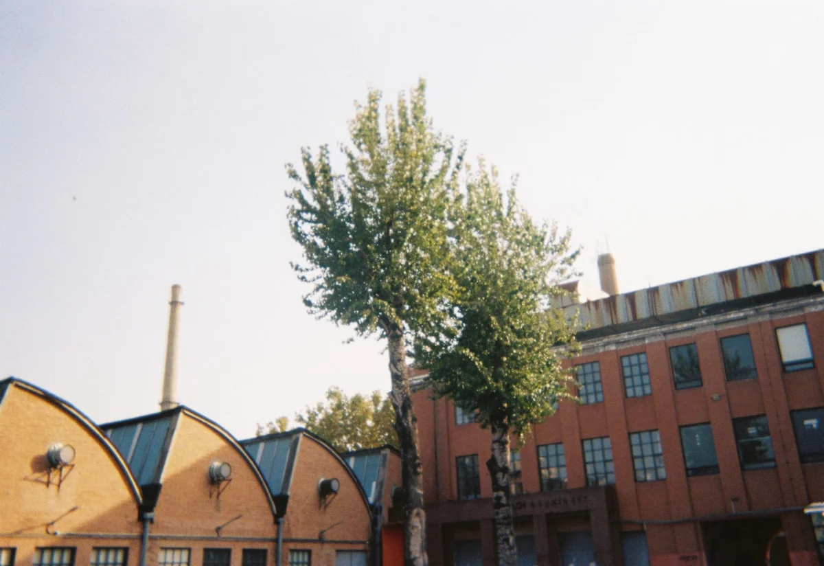 TIT Creative Industry Zone feature