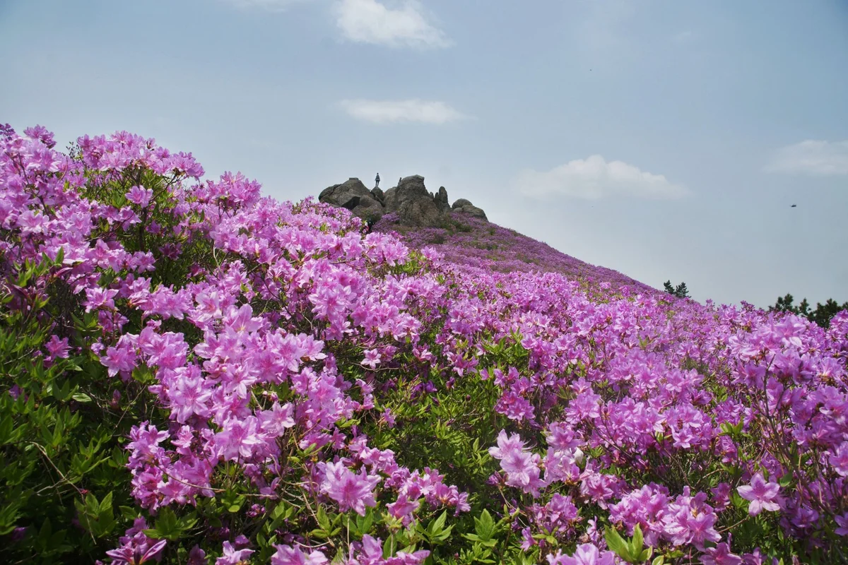 Yuntai Garden feature